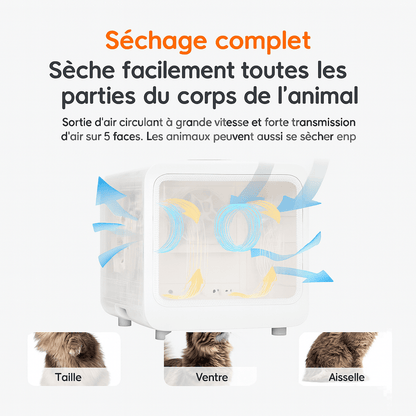 DryCat Y - 2 | Séchoir automatique pour chat - Autofélin