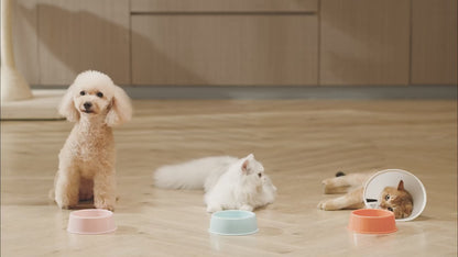 Distributeur automatique pour chat | NéoFeeder série Y